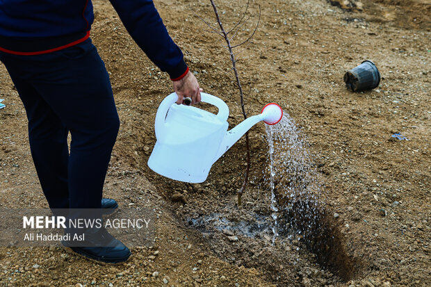 درختکاری میلیونی؛ ۱۰٬۰۰۰٬۰۰۰ نفس تازه!