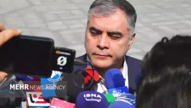 پاک‌نژاد: از نظر فنی، آب و بنزین قابل اختلاط نیستند