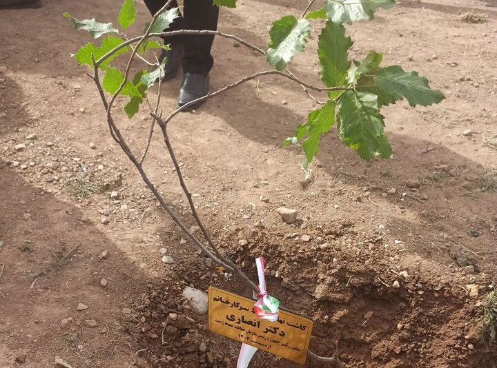 درختکاری میلیونی؛ ۱۰٬۰۰۰٬۰۰۰ نفس تازه!