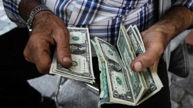 نرخ یورو و دلار دولتی امروز پنج شنبه ۱۱ تیر ۱۴۰۴ + کارمزد ارز اربعین