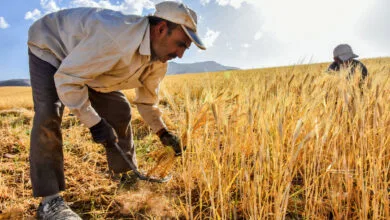 جهان اقتصادی نواندیش