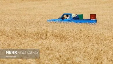 جهان اقتصادی نواندیش