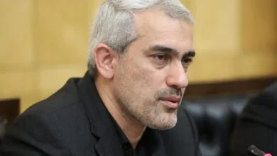 مدنیزاده: بهدنبال خصوصیسازی واقعی هستیم